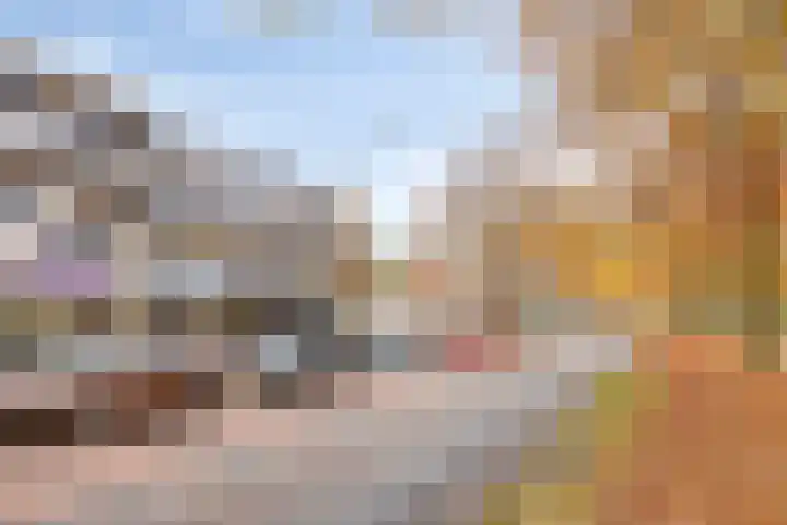 Zaltbommelseweg 24 Oss thumbnail 31