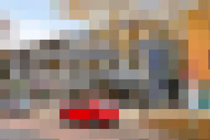 Zaltbommelseweg 24 Oss thumbnail 32