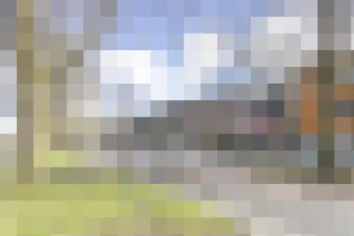 Zaltbommelseweg 24 Oss thumbnail 4