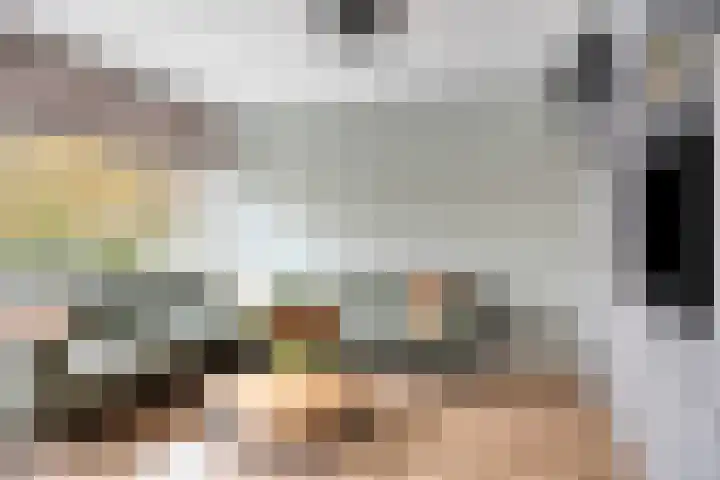Zaltbommelseweg 24 Oss thumbnail 6