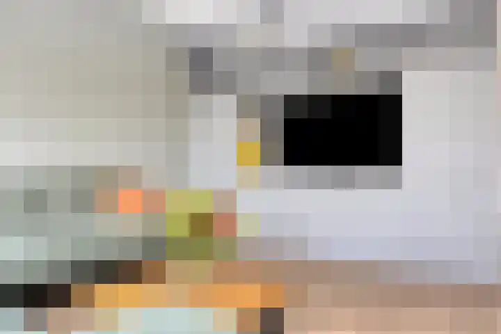 Zaltbommelseweg 24 Oss thumbnail 7