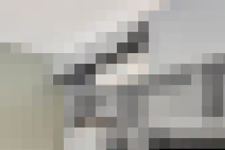Zaltbommelseweg 24 Oss thumbnail 8