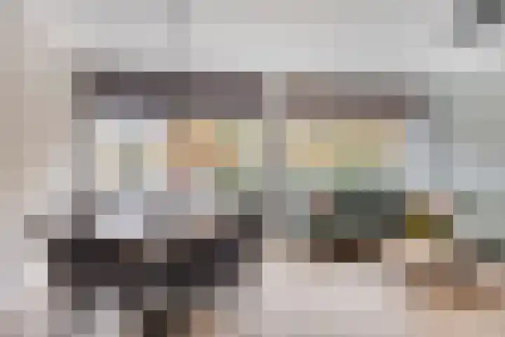 Zaltbommelseweg 24 Oss thumbnail 9