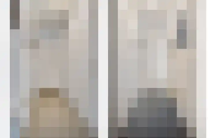 Zaltbommelseweg 34 Oss thumbnail 11
