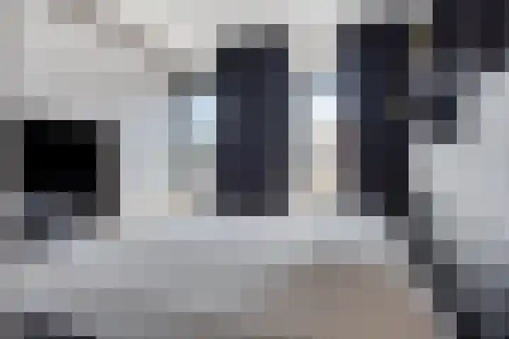 Zaltbommelseweg 34 Oss thumbnail 13