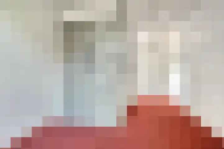 Zaltbommelseweg 34 Oss thumbnail 17