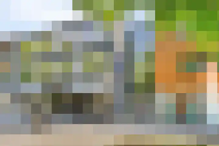 Zaltbommelseweg 34 Oss thumbnail 21
