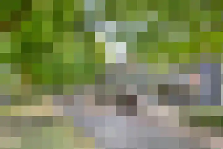 Zaltbommelseweg 34 Oss thumbnail 22