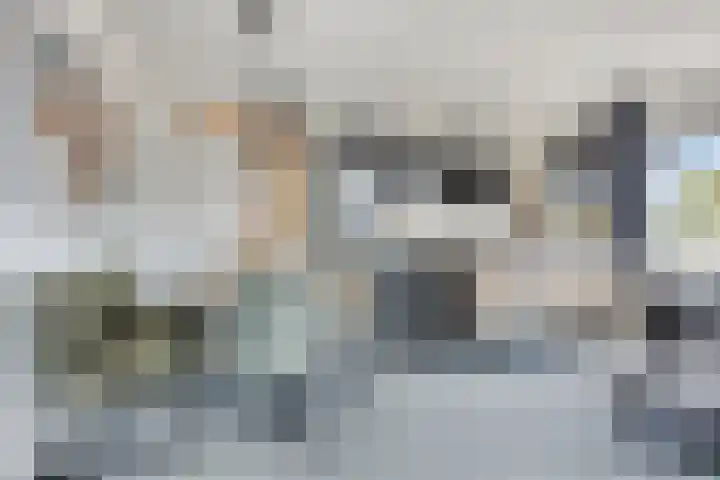 Zaltbommelseweg 34 Oss thumbnail 26