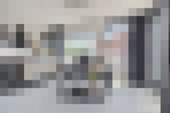 Zaltbommelseweg 34 Oss thumbnail 5