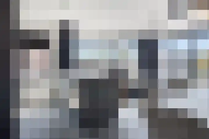Zaltbommelseweg 34 Oss thumbnail 6