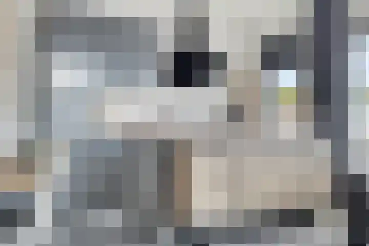 Zaltbommelseweg 34 Oss thumbnail 7