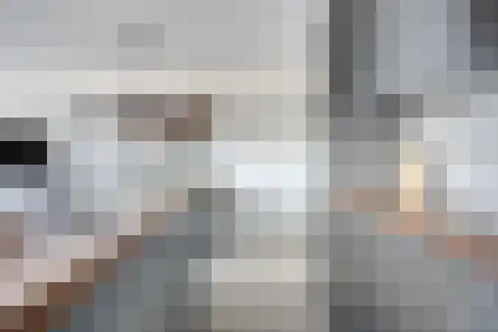 Zaltbommelseweg 34 Oss thumbnail 8