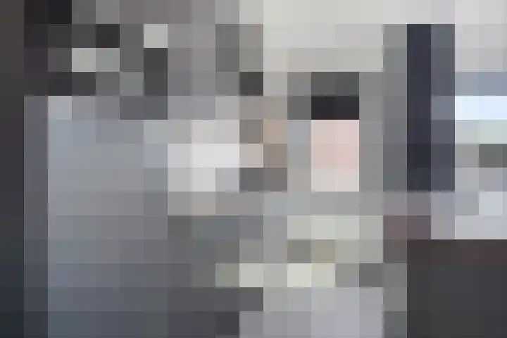 Zaltbommelseweg 34 Oss thumbnail 9