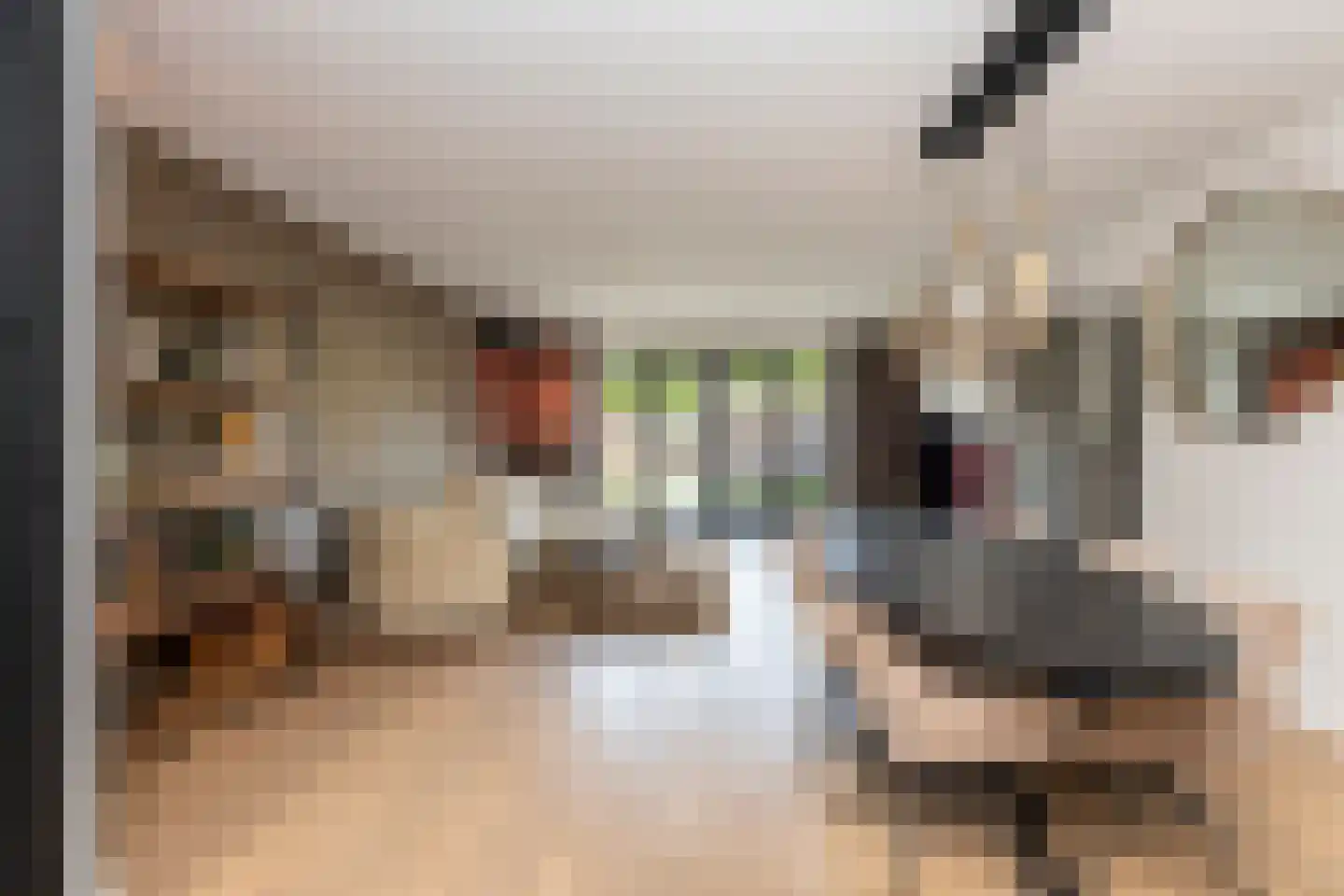 Zaltbommelstraat 11 Tilburg thumbnail 11