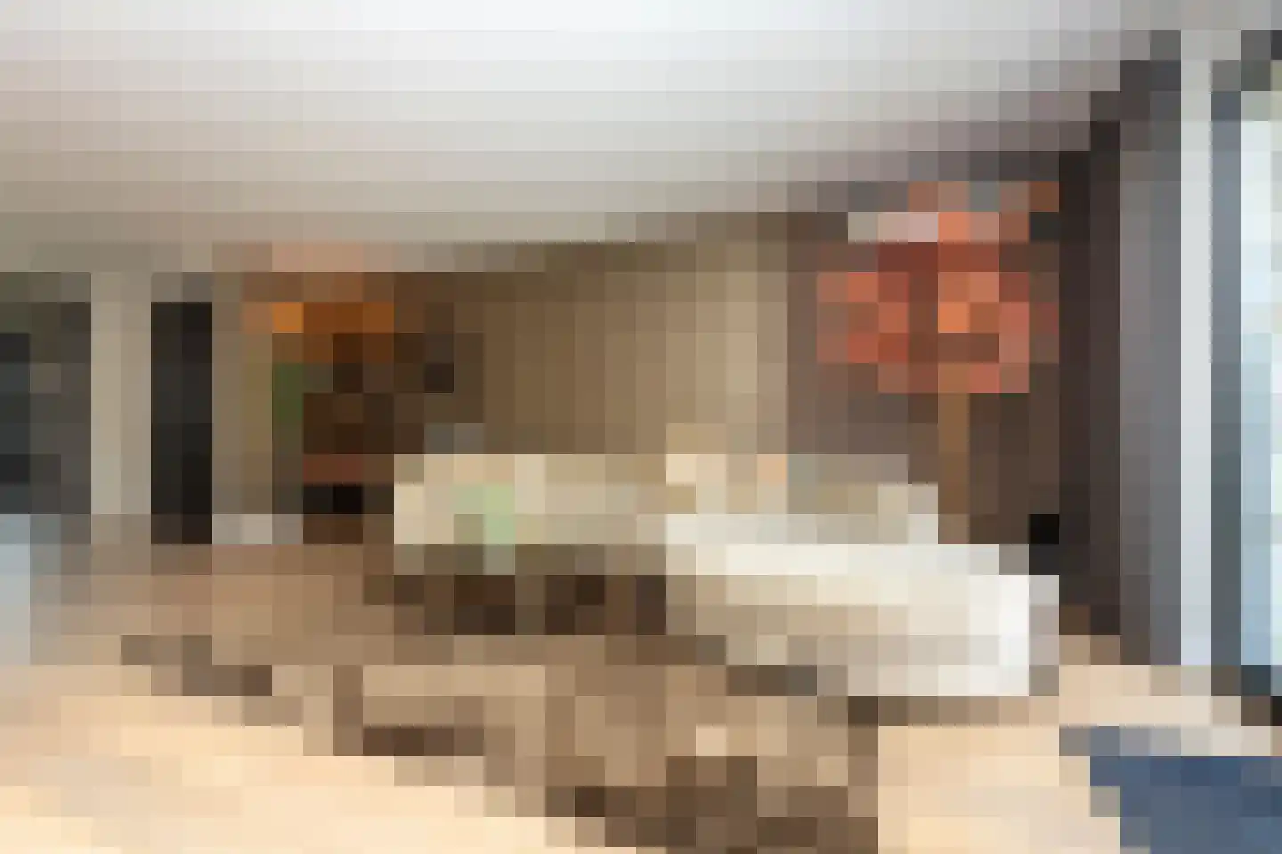 Zaltbommelstraat 11 Tilburg thumbnail 13