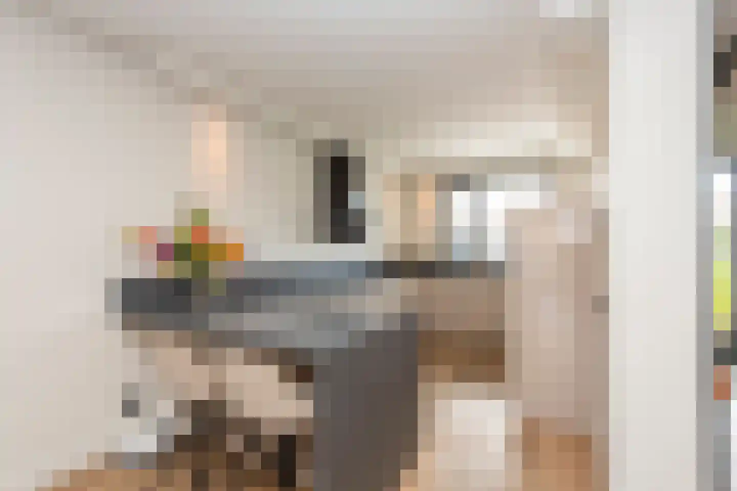 Zaltbommelstraat 11 Tilburg thumbnail 14