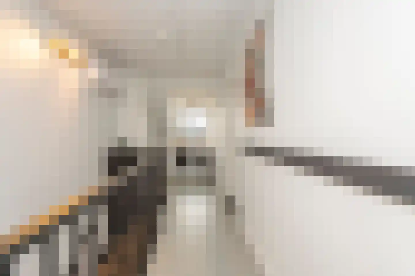 Zaltbommelstraat 11 Tilburg thumbnail 27