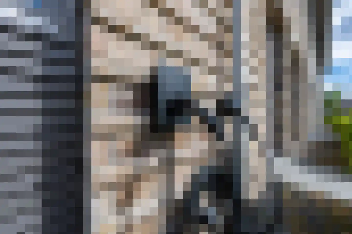 Zaltbommelstraat 11 Tilburg thumbnail 7