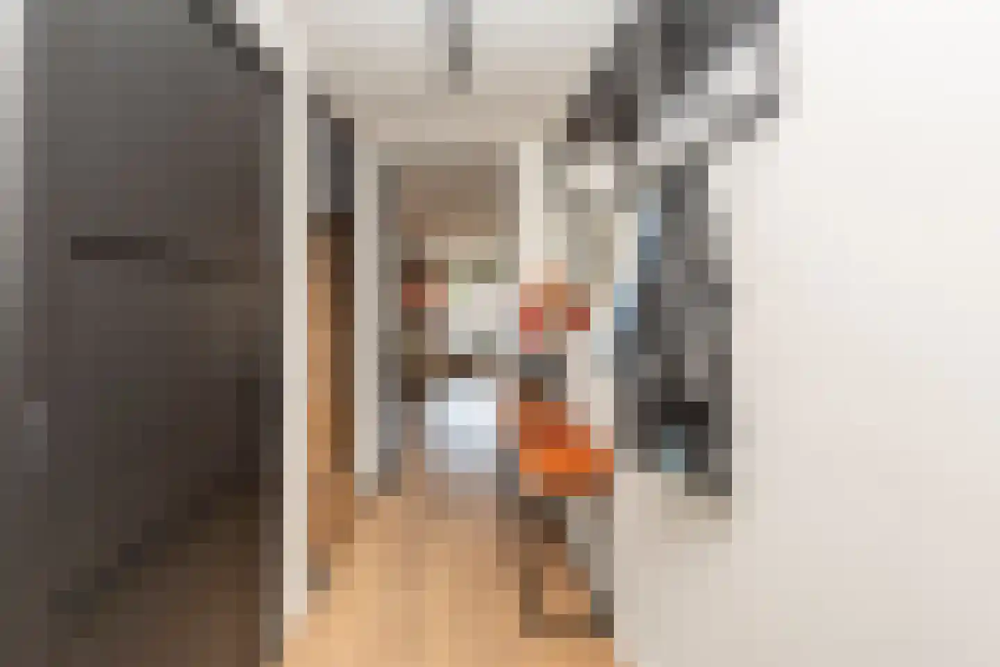 Zaltbommelstraat 11 Tilburg thumbnail 8