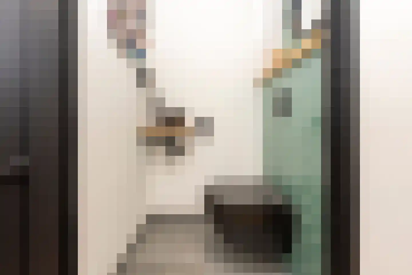 Zaltbommelstraat 11 Tilburg thumbnail 9