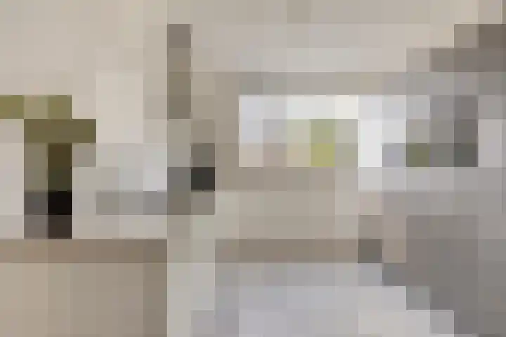 Zaltbommelstraat 19 Tilburg thumbnail 17