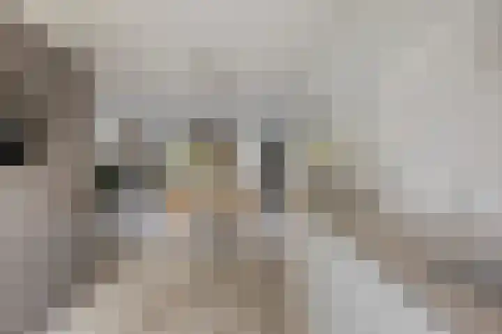Zaltbommelstraat 19 Tilburg thumbnail 18