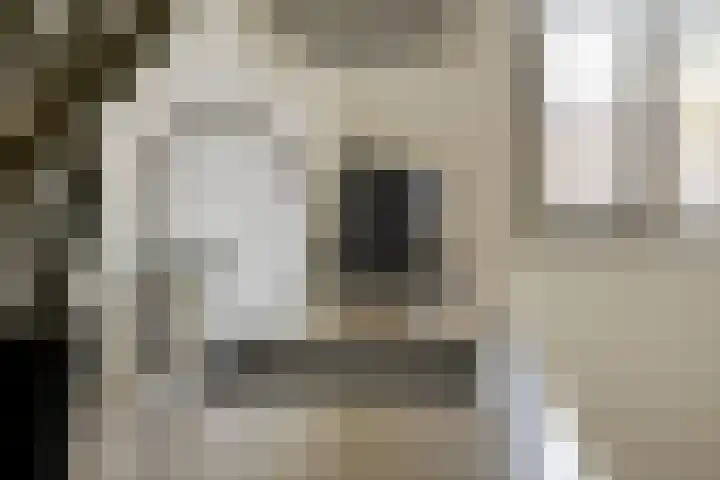 Zaltbommelstraat 19 Tilburg thumbnail 19