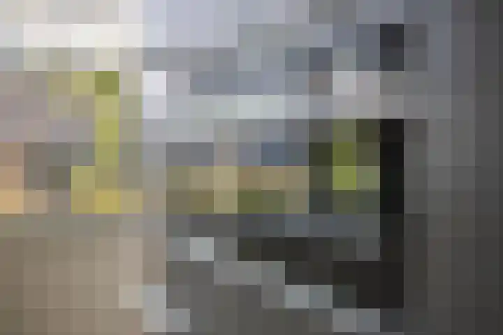 Zaltbommelstraat 19 Tilburg thumbnail 20