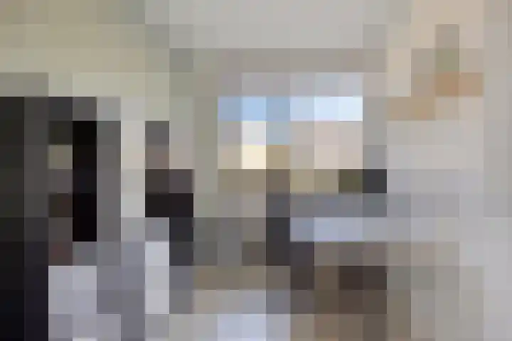 Zaltbommelstraat 19 Tilburg thumbnail 32