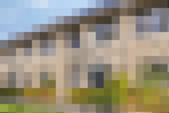 Zaltbommelstraat 19 Tilburg thumbnail 54