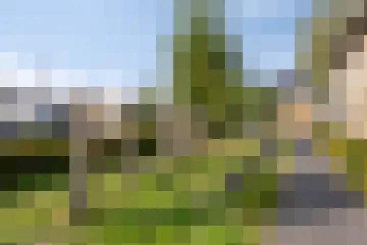 Zaltbommelstraat 19 Tilburg thumbnail 58