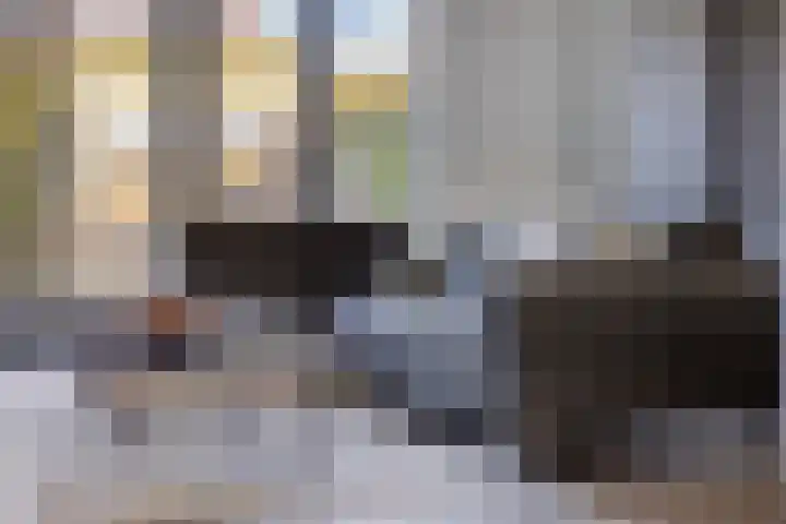 Zaltbommelstraat 19 Tilburg thumbnail 6