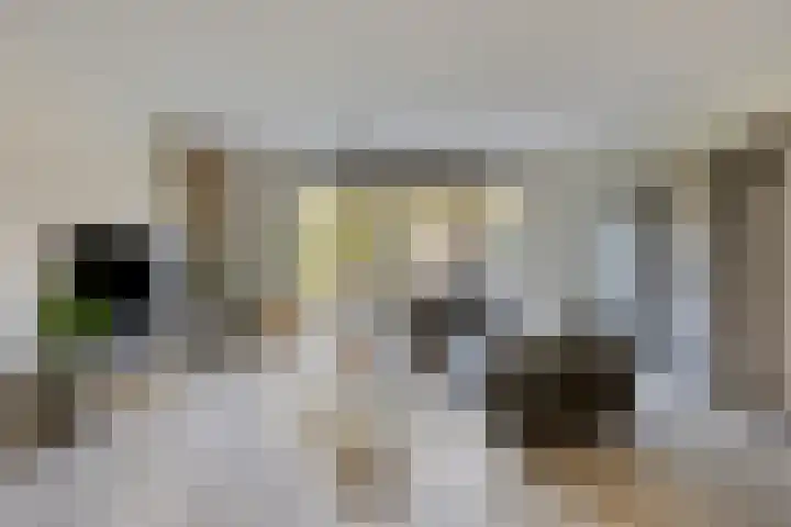 Zaltbommelstraat 19 Tilburg thumbnail 7