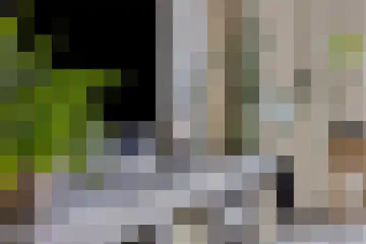 Zaltbommelstraat 19 Tilburg thumbnail 8