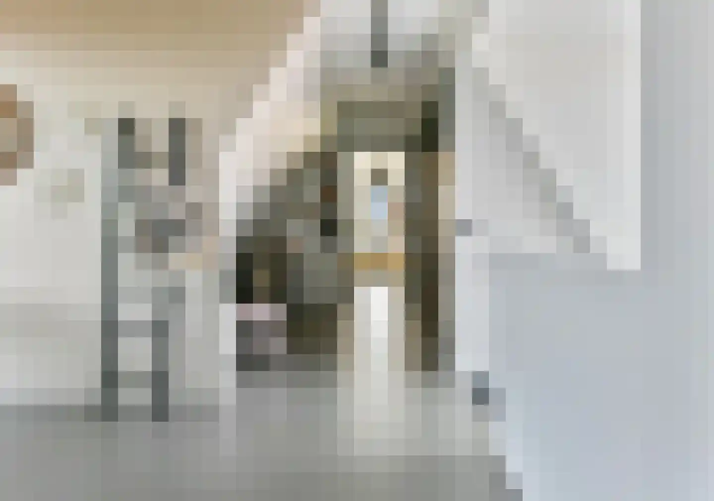 Zaltbommelstraat 30 Amersfoort thumbnail 51