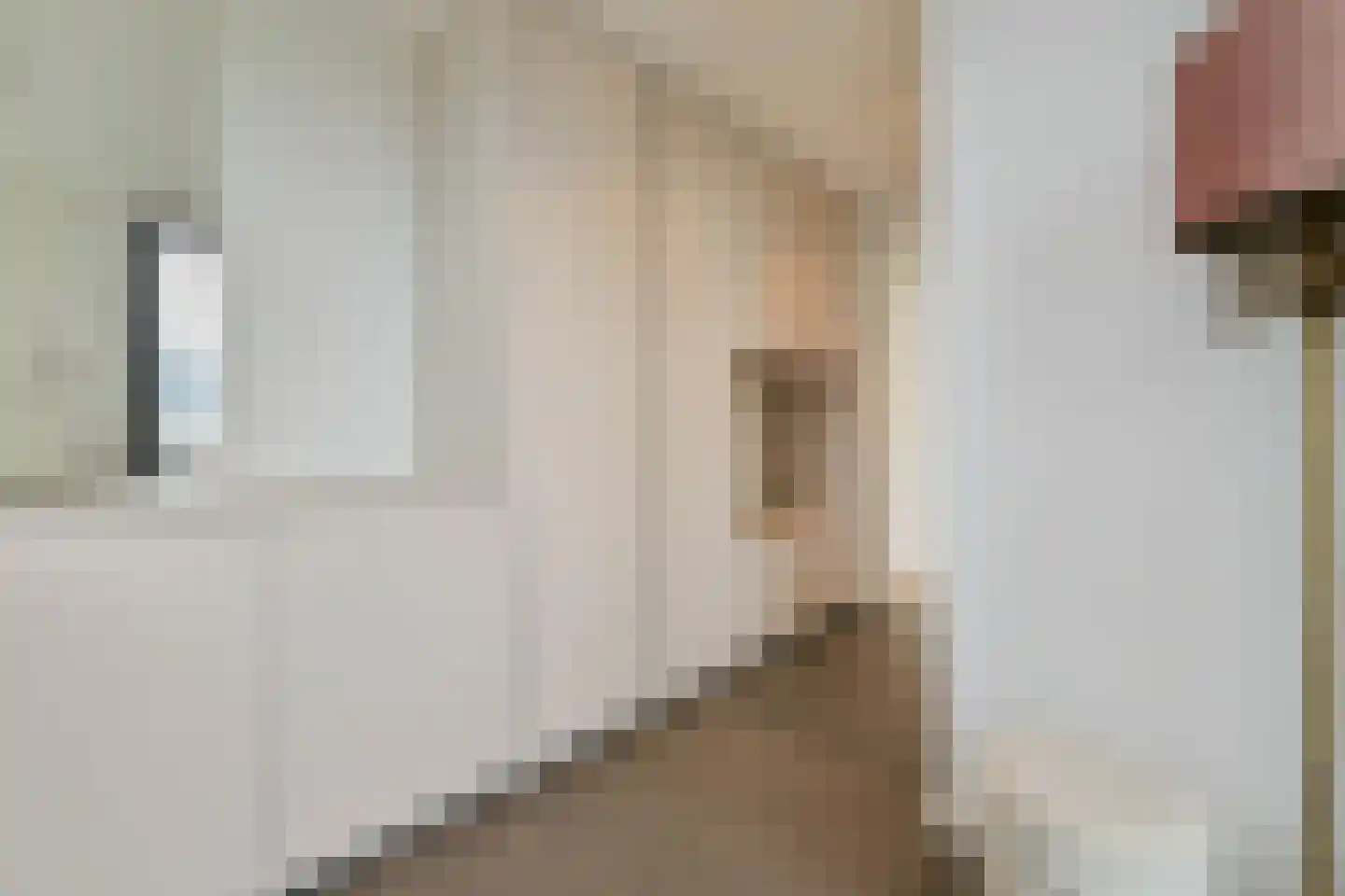 Zaltbommelstraat 8 Amersfoort thumbnail 32