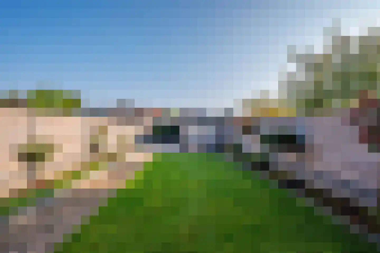 Zalzerskampweg 86 Venlo thumbnail 27