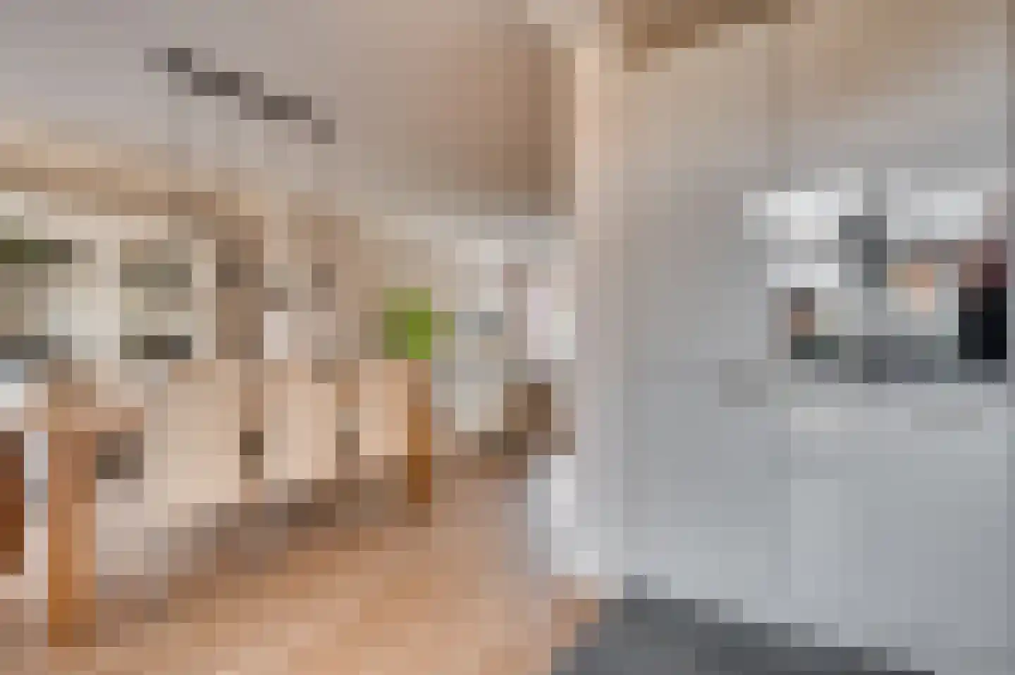 Zalzerskampweg 86 Venlo thumbnail 4