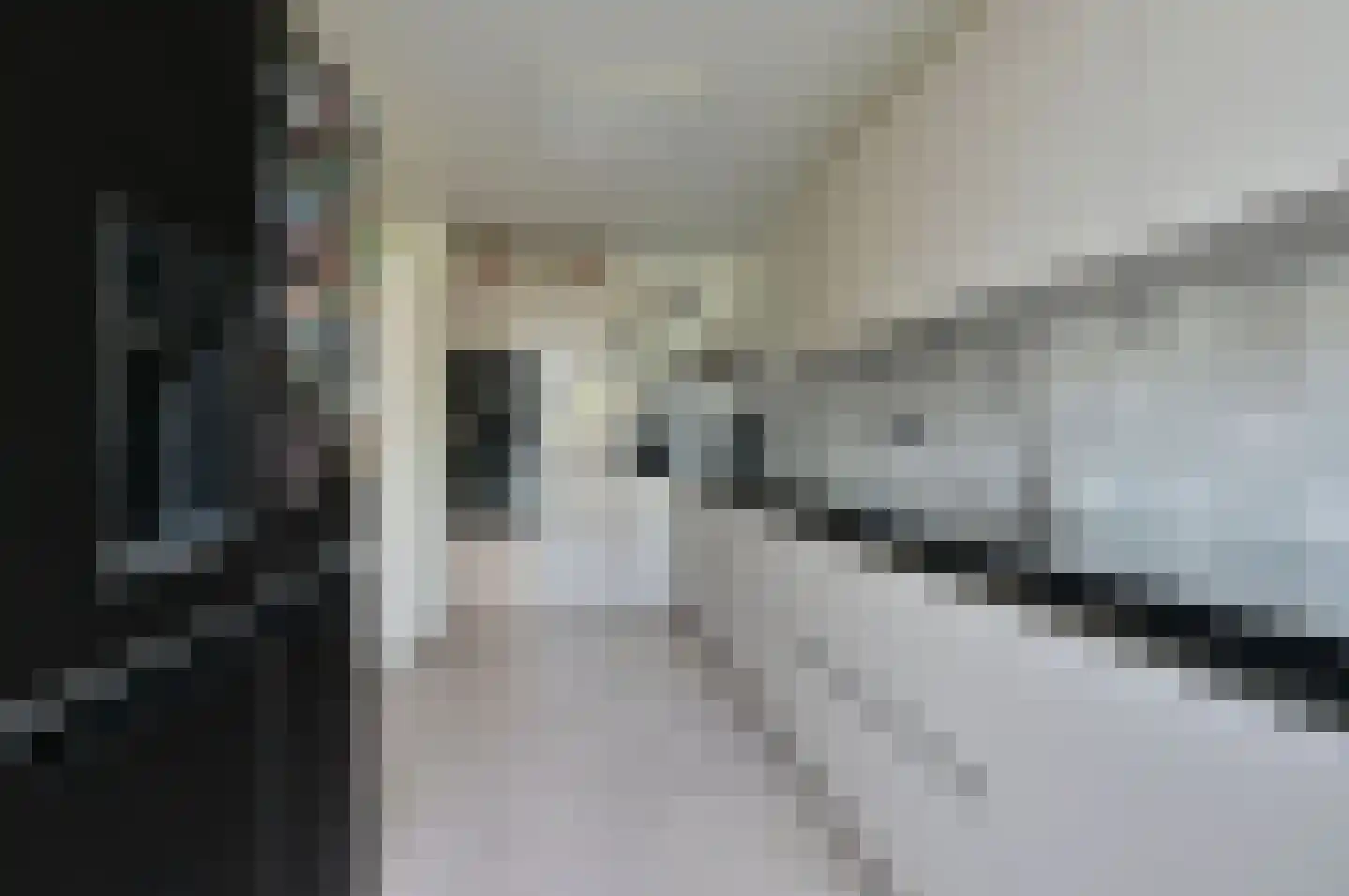 Zambesidreef 53 Utrecht thumbnail 9