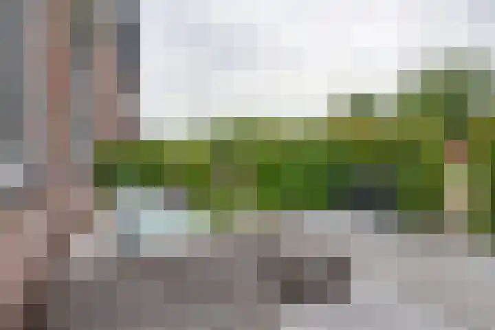 Zambezilaan 220 Purmerend thumbnail 10