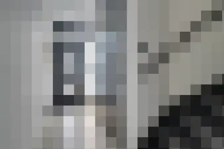 Zambezilaan 220 Purmerend thumbnail 11