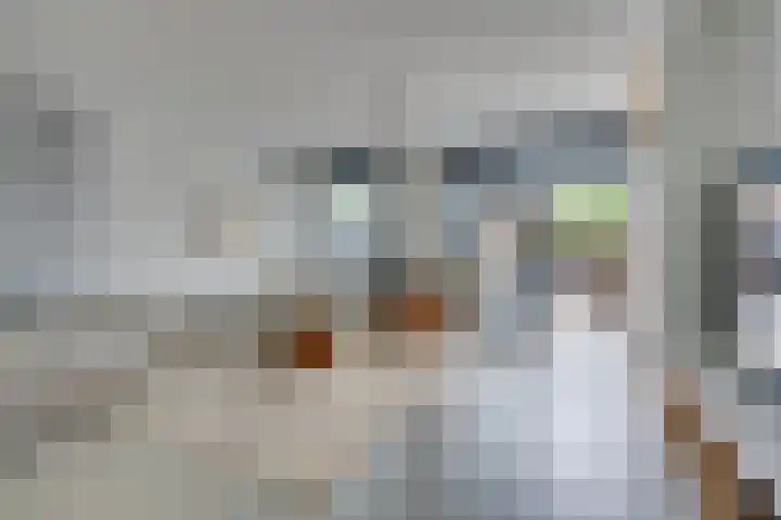 Zambezilaan 220 Purmerend thumbnail 16