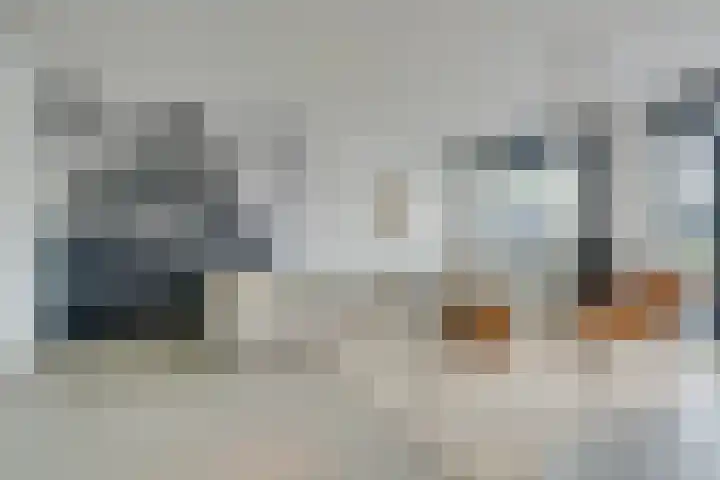 Zambezilaan 220 Purmerend thumbnail 17