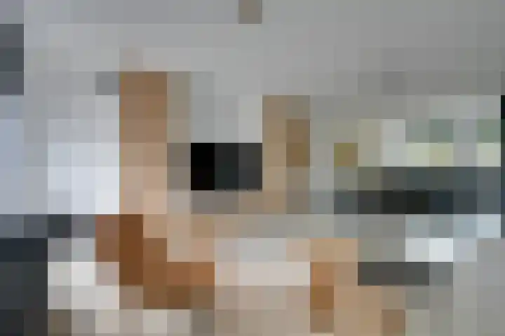 Zambezilaan 220 Purmerend thumbnail 19