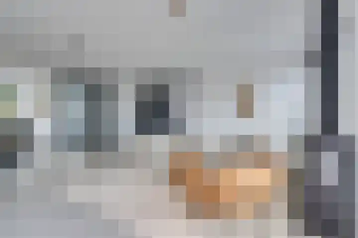 Zambezilaan 220 Purmerend thumbnail 20