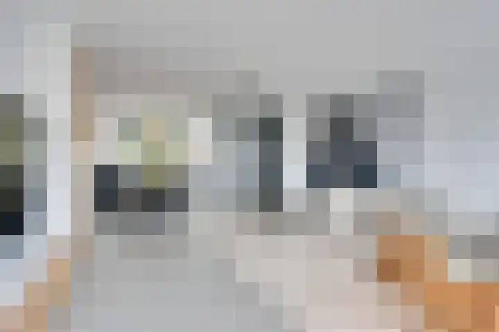 Zambezilaan 220 Purmerend thumbnail 21