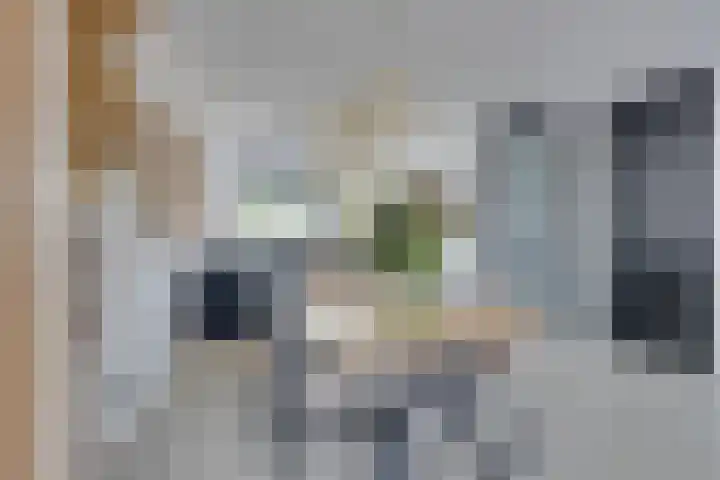 Zambezilaan 220 Purmerend thumbnail 22