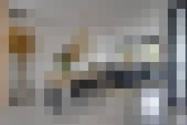 Zambezilaan 220 Purmerend thumbnail 23