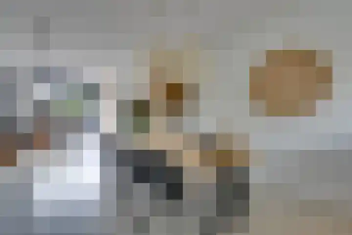 Zambezilaan 220 Purmerend thumbnail 24